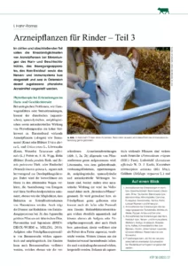 Arzneipflanzen für Rinder – Teil 3