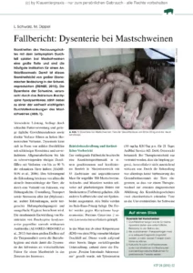 Fallbericht: Dysenterie bei Mastschweinen