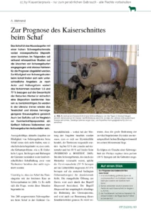 Zur Prognose des Kaiserschnittes beim Schaf