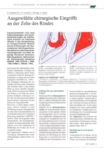 Ausgewählte chirurgische Eingriffe an der Zehe des Rindes