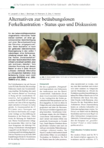 Alterativen zur betäubungslosen Ferkelkastration – Status quo und Diskussion