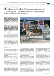 Mortellaro und andere Klauenerkrankungen als “Gratiszugabe“ bei Zuchtviehversteigerungen