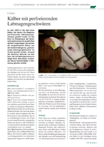 Kälber mit perforierenden Labmagengeschwüren