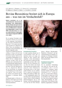 Bovine Besnoitiose breitet sich in Europa aus – was tun im Verdachtsfall?