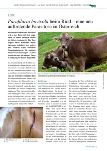 Parafilaria bovicola beim Rind – eine neu auftretende Parasitose in Österreich