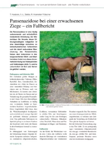 Pansenazidose bei einer erwachsenen Ziege – ein Fallbericht