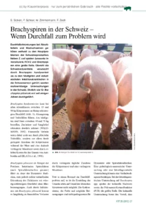 Brachyspiren in der Schweiz – Wenn Durchfall zum Problem wird