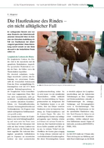 Die Hautleukose des Rindes – ein nicht alltäglicher Fall
