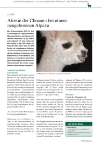 Atresie der Choanen bei einem neugeborenen Alpaka