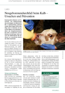 Neugeborenendurchfall beim Kalb – Ursachen und Prävention