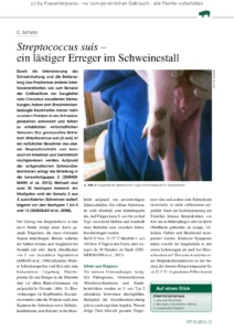 Streptococcus suis – ein lästiger Erreger im Schweinestall