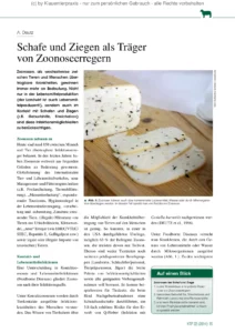 Schafe und Ziegen als Träger von Zoonoseerregern