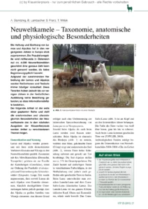 Neuweltkamele – Taxonomie, anatomische und physiologische Besonderheiten