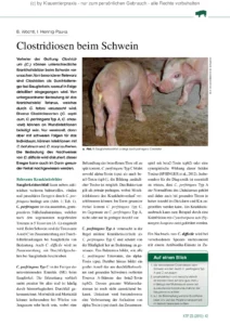 Clostridiosen beim Schwein