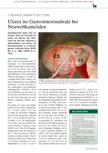 Ulzera im Gastrointestinaltrakt bei Neuweltkameliden