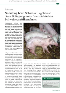 Nottötung beim Schwein: Ergebnisse einer Befragung unter österreichischen Schweinepraktikern/innen