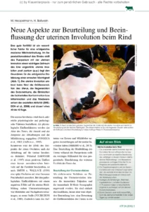 Neue Aspekte zur Beurteilung und Beeinflussung der uterinen Involution beim Rind