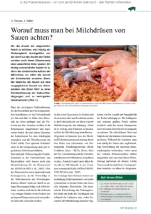 Worauf muss man bei Milchdrüsen von Sauen achten?