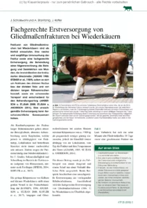 Fachgerechte Erstversorgung von Gliedmaßenfrakturen bei Wiederkäuern