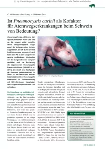Ist Pneumocystis carinii als Kofaktor für Atemwegserkrankungen beim Schwein von Bedeutung?