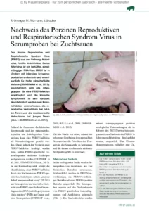 Nachweis des Porzinen Reproduktiven und Respiratorischen Syndrom Virus in Serumproben bei Zuchtsauen