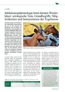 Infektionsepidemiologie beim kleinen Wiederkäuer: serologische Tests, Grundbegriffe, Möglichkeiten und Interpretation der Ergebnisse