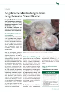 Angeborene Missbildungen beim neugeborenen Neuweltkamel