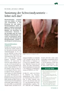 Sanierung der Schweinedysenterie –  lohnt sich das?