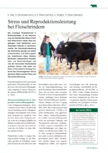 Stress und Reproduktionsleistung  bei Fleischrindern