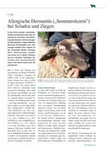Allergische Dermatitis („Sommerekzem”)  bei Schafen und Ziegen