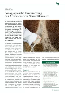 Sonographische Untersuchung  des Abdomens von Neuweltkamelen