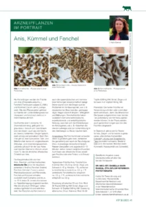 Arzneipflanzen im Portrait: Anis, Kümmel und Fenchel