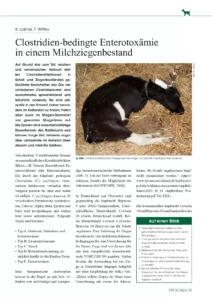 Clostridien-bedingte Enterotoxämie in einem Milchziegenbestand