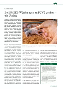 Bei SMEDI-Würfen auch an PCV2 denken – ein Update