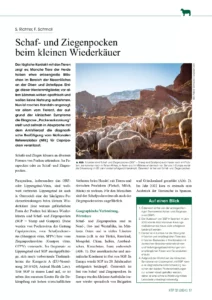 Schaf- und Ziegenpocken beim kleinen Wiederkäuer