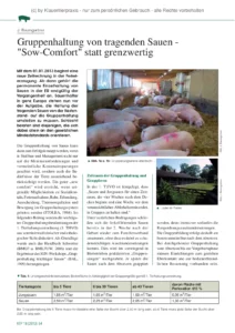 Gruppenhaltung von tragenden Sauen – „Sow-Comfort“ statt grenzwertig