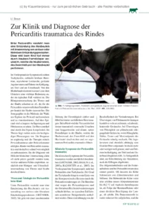 Zur Klinik und Diagnose der Pericarditis traumatica des Rindes