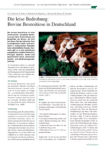Die leise Bedrohung: Bovine Besnoitiose in Deutschland