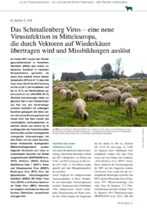 Das Schmallenberg Virus – eine neue Virusinfektion in Mitteleuropa, die durch Vektoren auf Wiederkäuer übertragen wird und Missbildungen auslöst