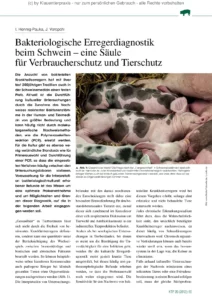 Bakteriologische Erregerdiagnostik beim Schwein – eine Säule für Verbraucherschutz und Tierschutz