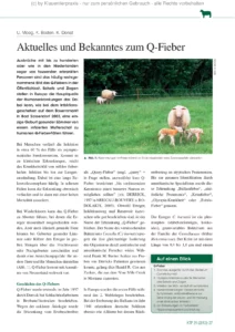 schafe und ziegen