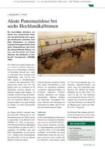 Akute Pansenazidose bei sechs Hochlandkalbinnen