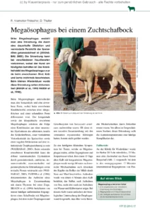 Megaösophagus bei einem Zuchtschafbock