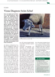 Visna-Diagnose beim Schaf
