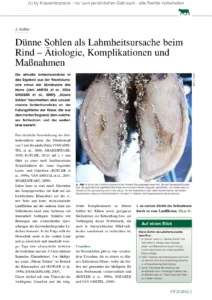 Dünne Sohlen als Lahmheitsursache beim Rind – Ätiologie, Komplikationen und Maßnahmen