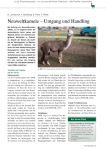 Neuweltkamele – Umgang und Handling