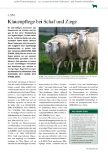 Klauenpflege bei Schaf und Ziege
