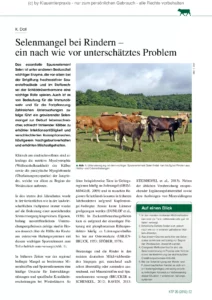 Selenmangel bei Rindern – ein nach wie vor unterschätztes Problem