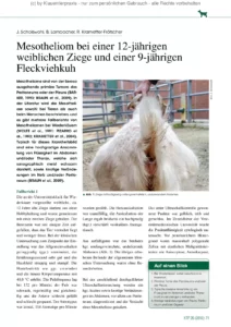 Mesotheliom bei einer 12-jährigen weiblichen Ziege und einer 9-jährigen Fleckviehkuh