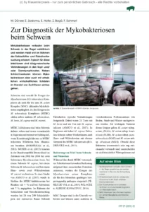 Zur Diagnostik der Mykobakteriosen beim Schwein